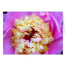 Peony Tarjeta
