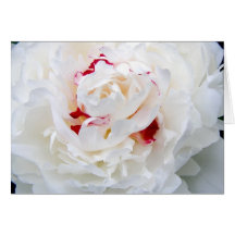 Peony Tarjeton