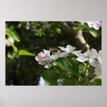 Pequeña abeja - poster