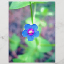 Pequeña flor azul bonita tarjetones