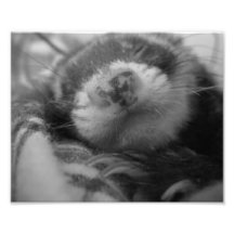 Pequeña impresión de la foto el dormir de Bonnie