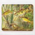 PEQUEÑA NATACIÓN DE LOS PESCADOS TAPETES DE RATÓN