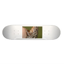 Pequeña rana del sapo en el dedo contra puerta ver patinetas personalizadas