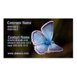 Pequeña tarjeta de visita azul de la mariposa