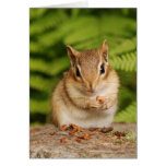 Pequeña tarjeta dulce del Chipmunk del bebé tarjetas