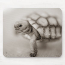 Pequeña tortuga tapete de ratones