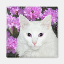 pequeñas azaleas de romeo imán para frigorífico
