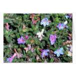 Pequeñas flores azules felicitación
