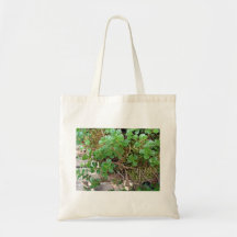 Pequeñas hojas del verde bolsas