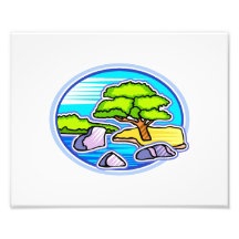 pequeño árbol por los bonsais del agua como diseño fotografias