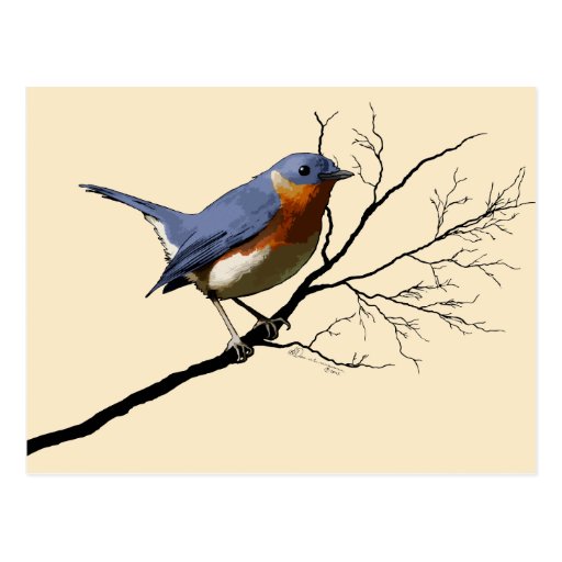 Pequeño azul del pájaro, tarjeta postal