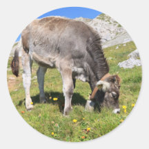 pequeño becerro etiqueta redonda