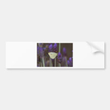 Pequeño blanco y lavanda pegatina de parachoque