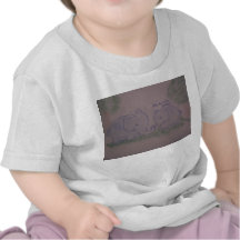 Pequeño Brother Camisetas