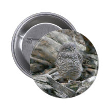 Pequeño búho pin