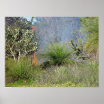 Pequeño bushfire posters