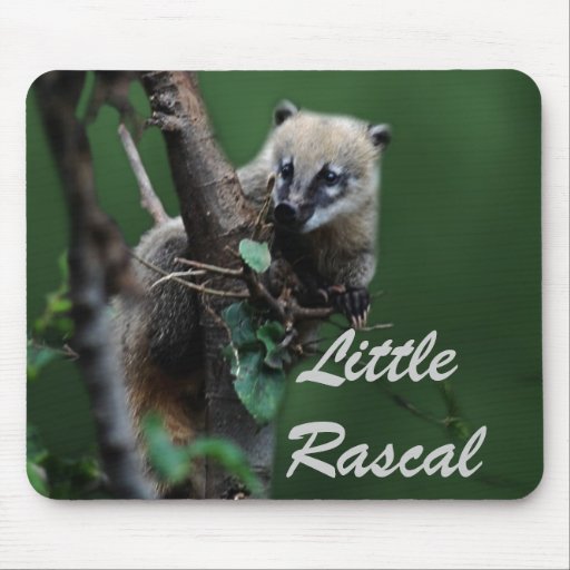 Pequeño coati de los bribones - lemur alfombrilla de raton