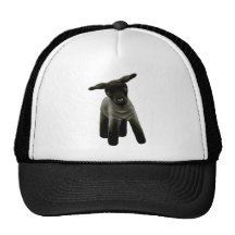 Pequeño cordero gorro