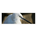 Pequeño Egret Plantilla De Tarjeta Personal
