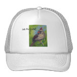 Pequeño gorra del aceo de Srta. Cardinal