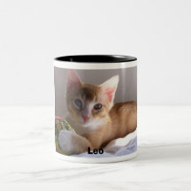 Pequeño Leo Taza