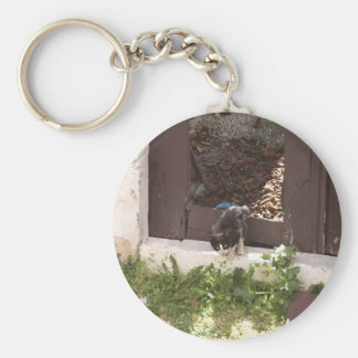 Pequeño llavero del limpiador