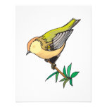 pequeño pájaro precioso del goldfinch anuncios  
