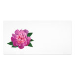 Pequeño Peony rosado Tarjeta Personal