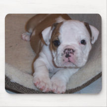 Pequeño perrito lindo Mousepad del dogo