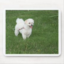 Pequeño perro blanco tapete de raton