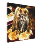 Pequeño perro lindo lona estirada galerias