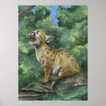 Pequeño puma posters