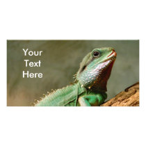 Pequeño reptil