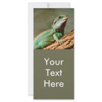 Pequeño reptil
