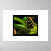Pequeño venenoso de poster