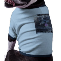 PEQUEÑO WALT ROPA MACOTA