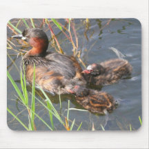 Pequeños Grebes Alfombrilla De Ratones