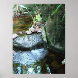 Pequeños Rapids Poster