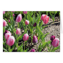 pequeños tulipanes tarjeton