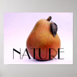 Pera de la NATURALEZA Poster