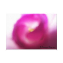 Peras 2012. de CanvasArt-PurpleRose#2.© Roseanne Lienzo Envuelto Para Galerias