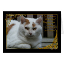 Pérdida de la condolencia de tarjeta del gato