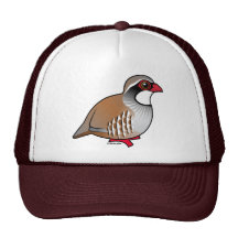 Perdiz de patas rojas gorro