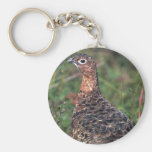 Perdiz nival del sauce, gallina en verano llaveros personalizados