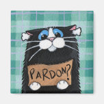 Perdón - imán caprichoso del gato