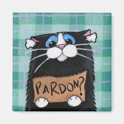 Perdón - imán caprichoso del gato