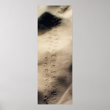 Peregrinaje Posters
