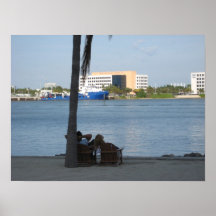 Perezoso en Miami Poster