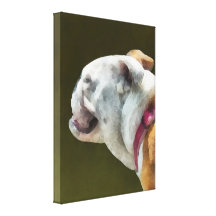 Perfil inglés del dogo lona envuelta para galerías