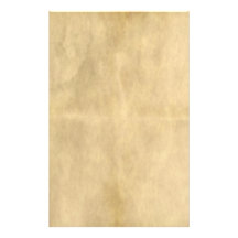 pergamino viejo  papeleria